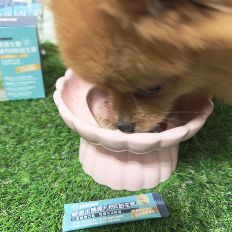 女人知己試用大隊,口碑行銷,部落客行銷,Moegis萌吉 腸道生機專利RBE益生菌,寵物益生菌,專利RBE益生元,專利蔬果酵素,小分子胜肽,藍藻粉,維持免疫力,幫助維持消化道機能,維持正常食慾,改變細菌叢生態,腸胃保健,犬貓適用